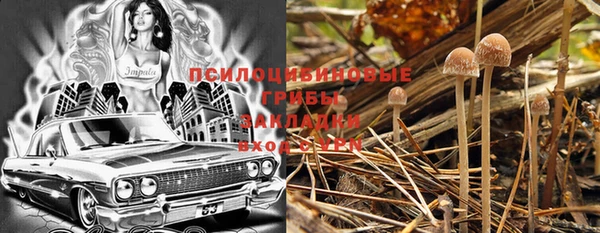 гашик Красноперекопск