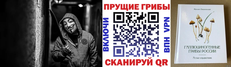 гидра зеркало  где найти наркотики  Мезень  Псилоцибиновые грибы мицелий 